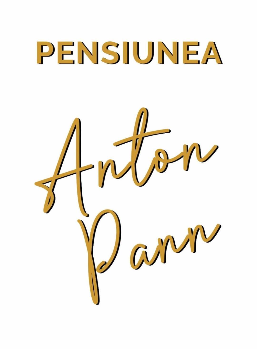 Pensiunea Anton Pann Sibiu Esterno foto